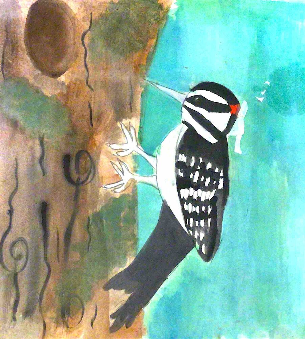 woodpecker netra k